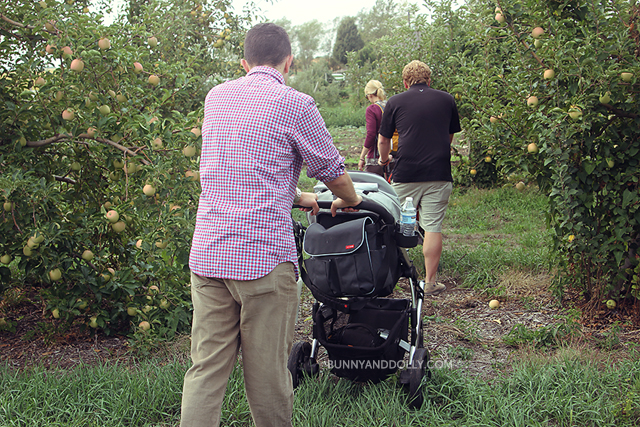 Kimmel Orchard Apple Picking Nebraska