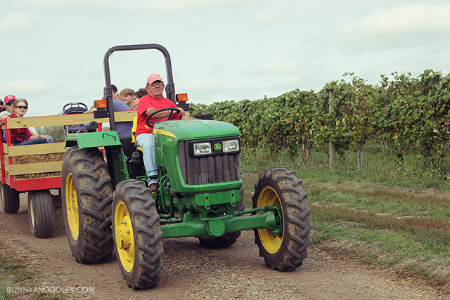 Kimmel Orchard Apple Picking Nebraska Tractor