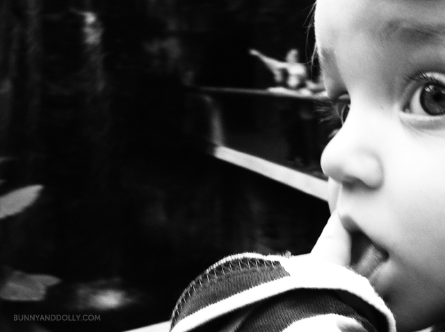 toddler boy profile black and white