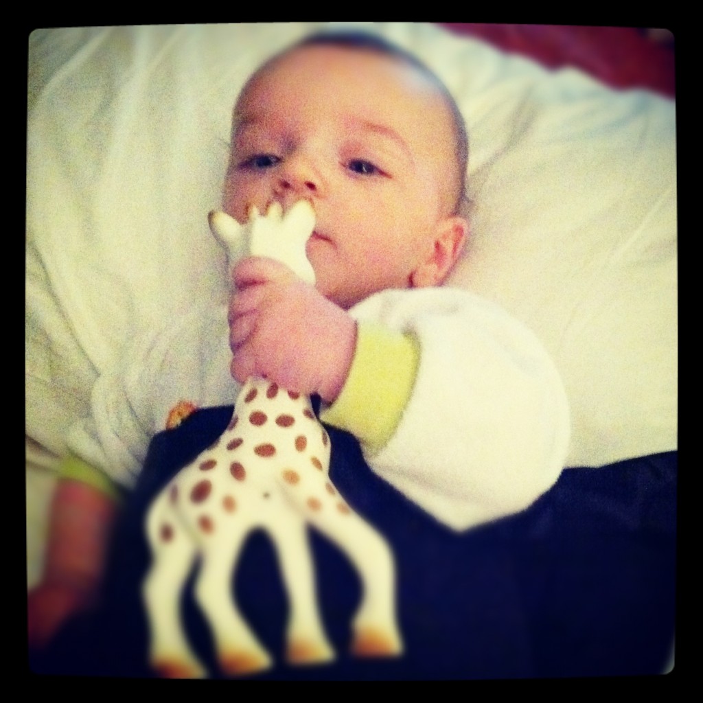 baby-grabbing-sophie-the-giraffe