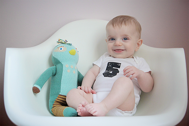 five months old baby photo