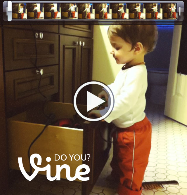 Do you Vine? #vineapp bunnyanddolly.com