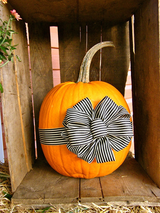 ribbon and bow pumpkin
