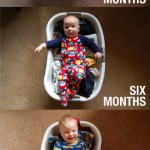 Ideas for toddler photos (13-24 months old)