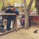 Pumpkin Picking at Vala�s