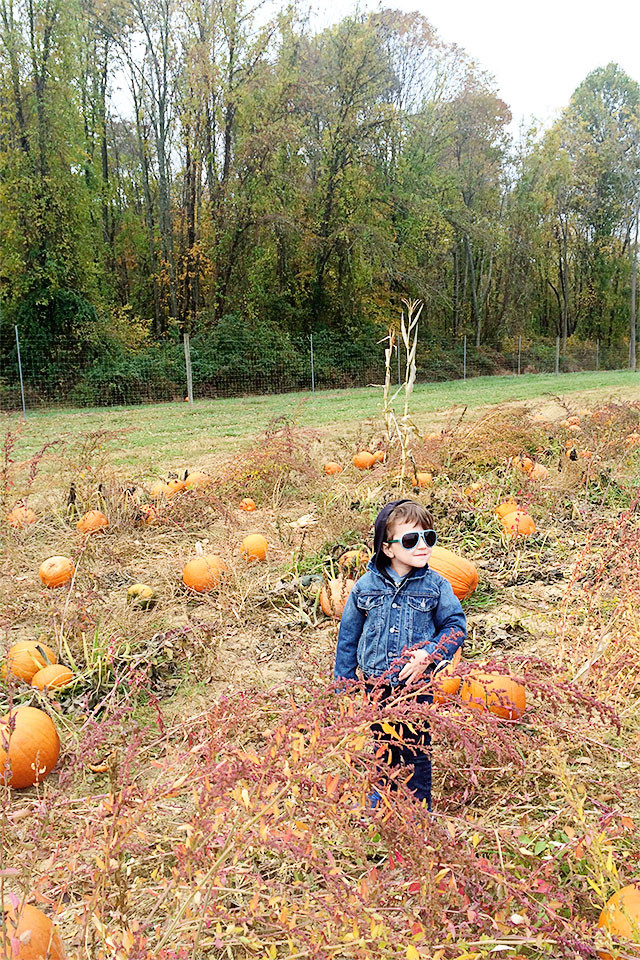 3 things to never say to your kids | A Girl Named PJ