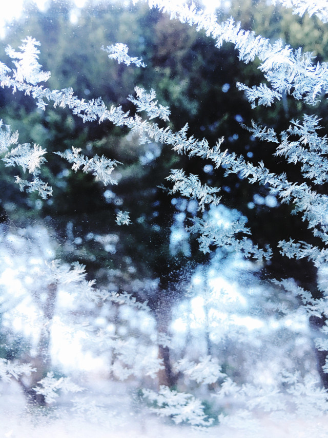 A cold winter day during my blog hiatus! | A Girl Named PJ