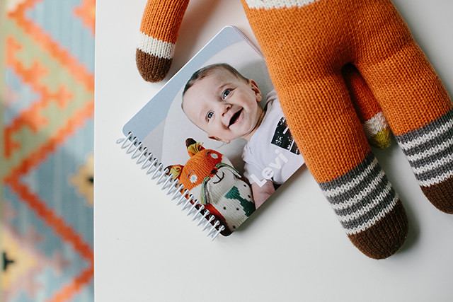 Levi's first year baby book | A Girl Named PJ Levi's first year baby book | A Girl Named PJ