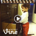 The Shortest Home Movies