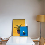 Clever houseplants you can?t kill