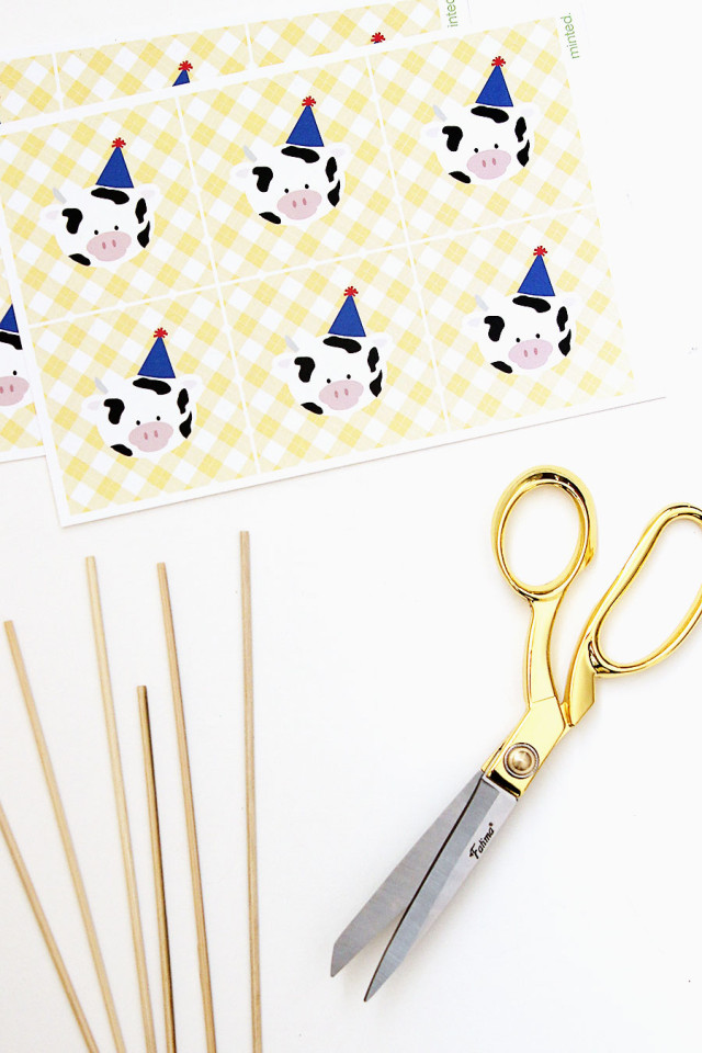 On A Girl Named PJ: An easy way to decorate a store-bought cake