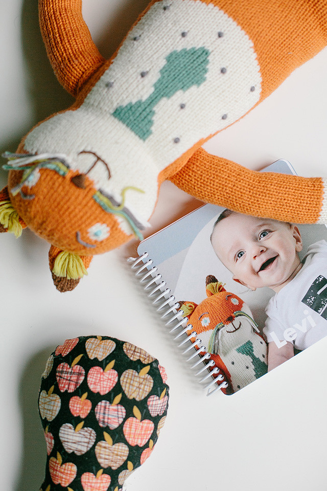 Create a Pinhole Press personalized board book with baby's first year photos | A Girl Named PJ Create a Pinhole Press personalized board book with baby's first year photos | A Girl Named PJ
